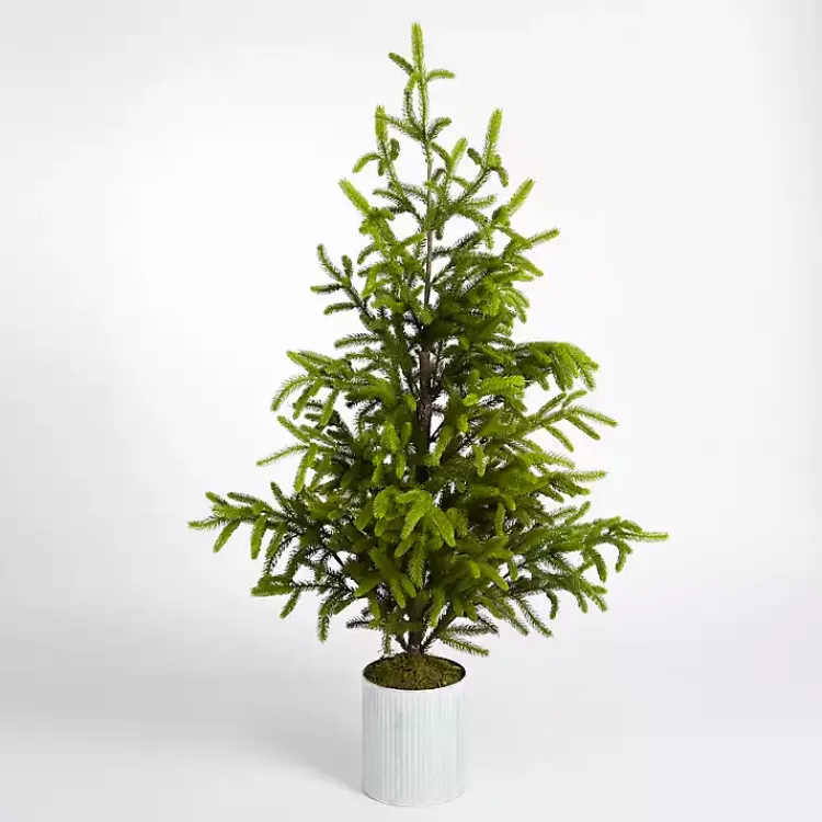 Online Potted Norway Spruce Christmas Tree, 60 in. Christmas Trees