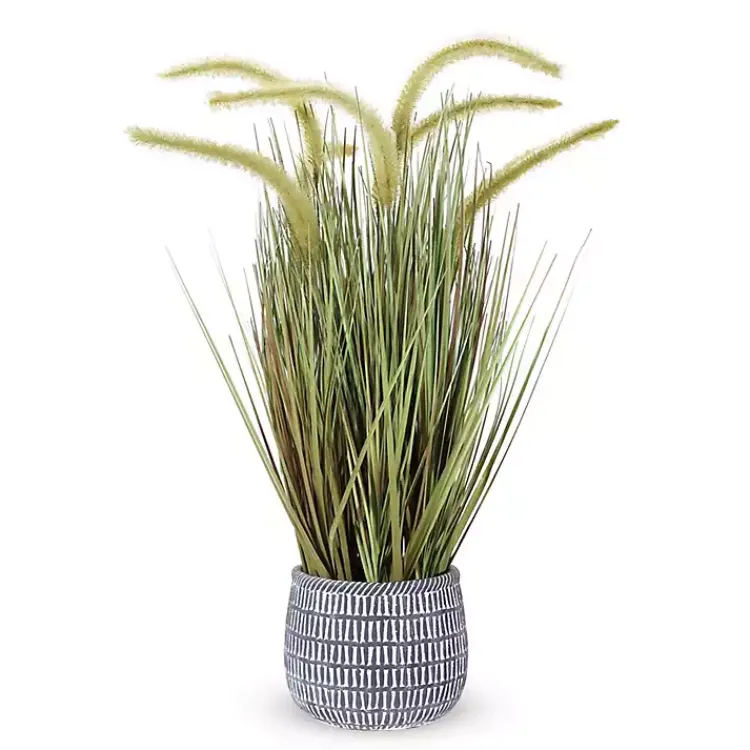 Best Prairie Grass in Pot Trees & Topiaries