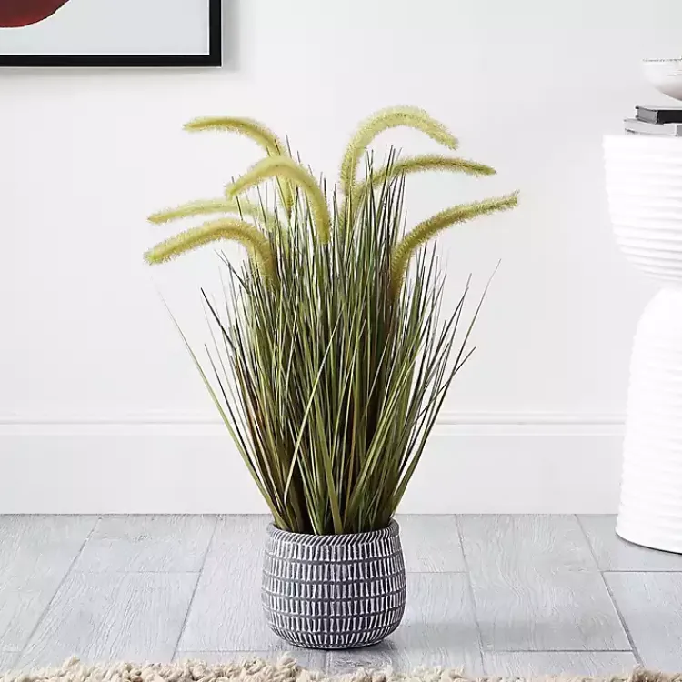 Best Prairie Grass in Pot Trees & Topiaries