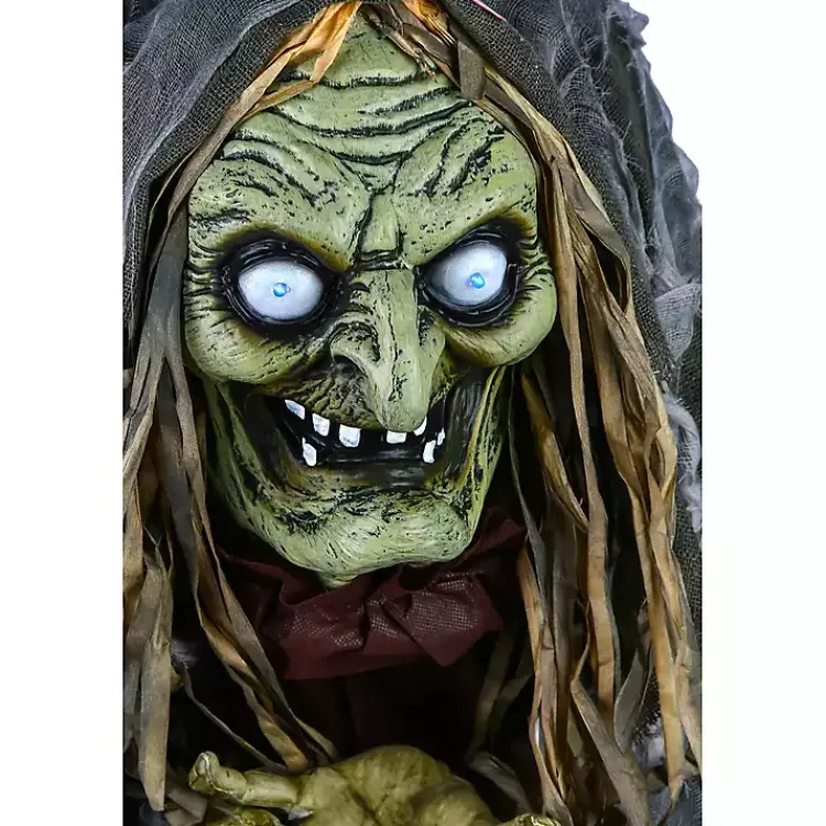 Sale Pre-Lit Animated Shrouded Witch Outdoor Decoration Halloween