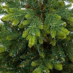 Discount Pre-Lit North Carolina Fir Tree in Red Planter Christmas Arrangements & Garland