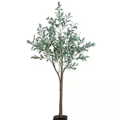 Sale Pre-Lit Warm LED Olive Tree, 5 ft. Trees & Topiaries