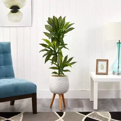 Discount Real Touch Dracaena in Mossy Tripod Planter Trees & Topiaries