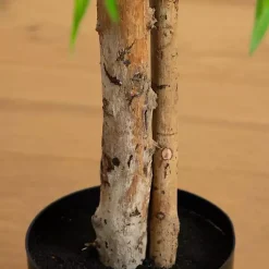 Discount Real Touch Willow Tree in Black Planter, 4 ft. Trees & Topiaries