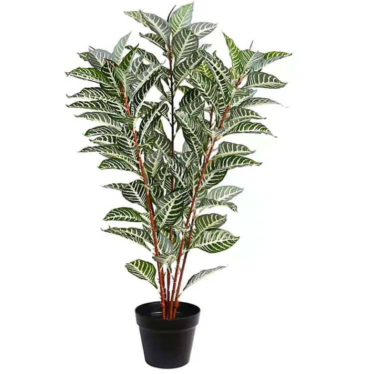 Best Real Touch Zebra Plant in Nursery Planter Trees & Topiaries