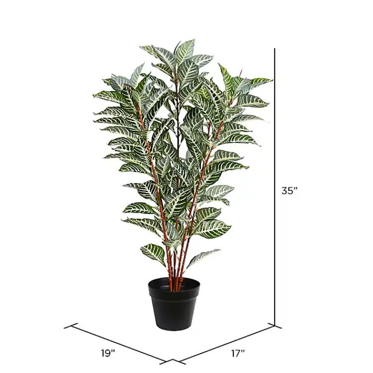 Best Real Touch Zebra Plant in Nursery Planter Trees & Topiaries