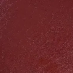 Kirklands Home Benches & Ottomans|Faux Leather Jessy Storage Ottoman Red