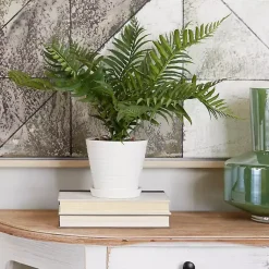 Best River Rock Fern in Ribbed White Planter Arrangements & Greenery