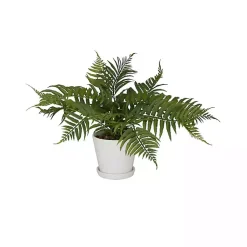 Best River Rock Fern in Ribbed White Planter Arrangements & Greenery