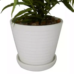 Best River Rock Fern in Ribbed White Planter Arrangements & Greenery
