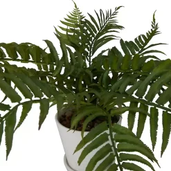 Best River Rock Fern in Ribbed White Planter Arrangements & Greenery