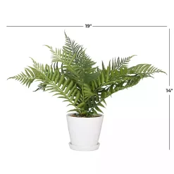Best River Rock Fern in Ribbed White Planter Arrangements & Greenery