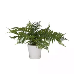 Best River Rock Fern in Ribbed White Planter Arrangements & Greenery