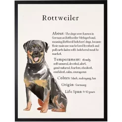 Kirklands Home Wall Quotes & Signs|Rottweiler Facts Framed Wall Plaque
