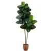 Discount Rubberwood Tree in Planter, 6 ft. Trees & Topiaries