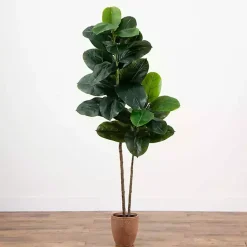 Discount Rubberwood Tree in Planter, 6 ft. Trees & Topiaries