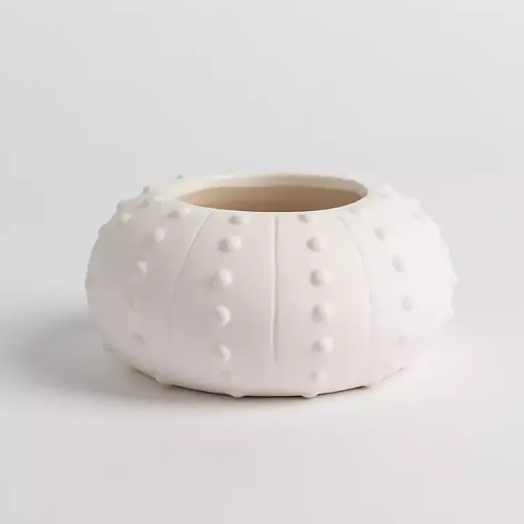 Online Salt and Driftwood Sea Urchin Jar Candle Candles