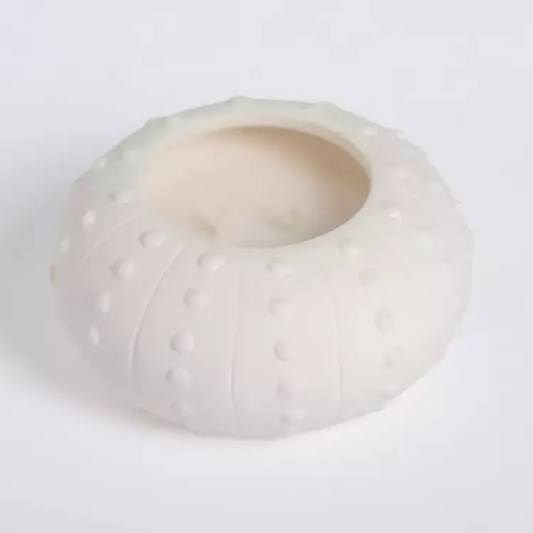 Online Salt and Driftwood Sea Urchin Jar Candle Candles