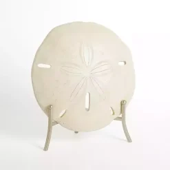 Clearance Sand Dollar Statue with Metal Sd Statues & Figurines