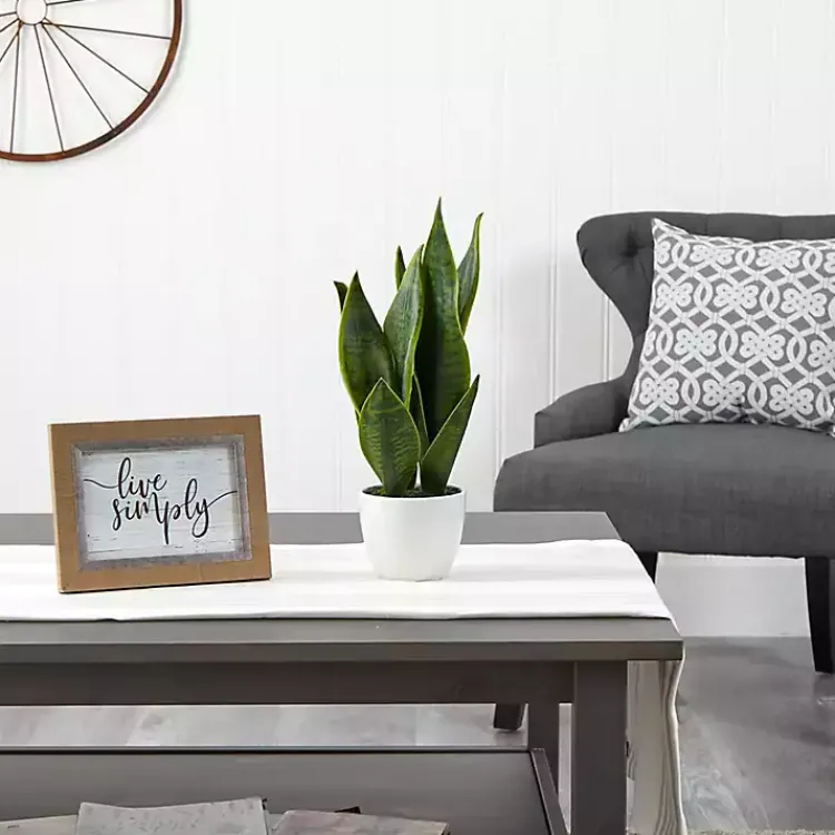 Sansevieria Arrangement in White Planter Arrangements & Greenery