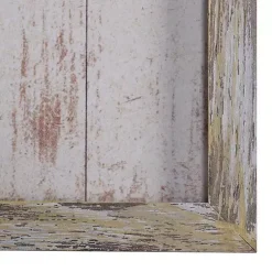 Kirklands Home Framed Art|Sea Creatures Framed Wood Art Prints, Set of 9