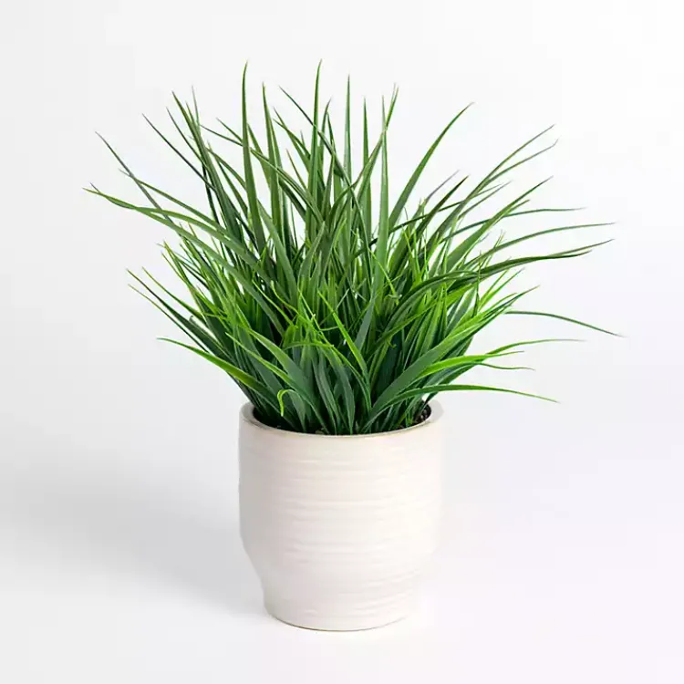 Online Seagrass Arrangement in White Pot Arrangements & Greenery