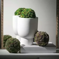 New Sedum Succulent Orbs, Set of 3 Bowl Filler