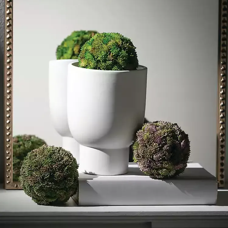 New Sedum Succulent Orbs, Set of 3 Bowl Filler