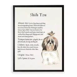 Kirklands Home Wall Quotes & Signs|Shih Tzu Facts Framed Wall Plaque White