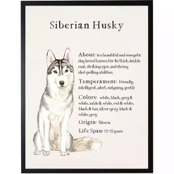 Kirklands Home Wall Quotes & Signs|Siberian Husky Facts Framed Wall Plaque