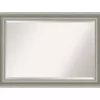 Kirklands Home Decorative Mirrors|Silver Patina Scallop Framed Mirror, 30x42 in.