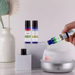 Clearance Sleep, Sinus and Immunity Essential Oils, Set of 3 Home Fragrance