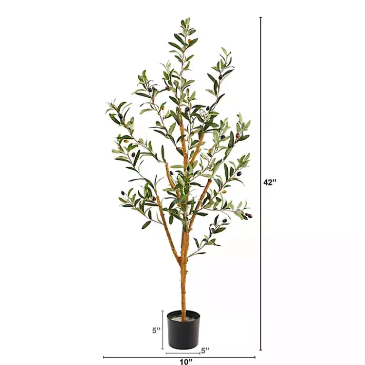 Outlet Slender Olive Branch Tree in Nursery Planter Trees & Topiaries