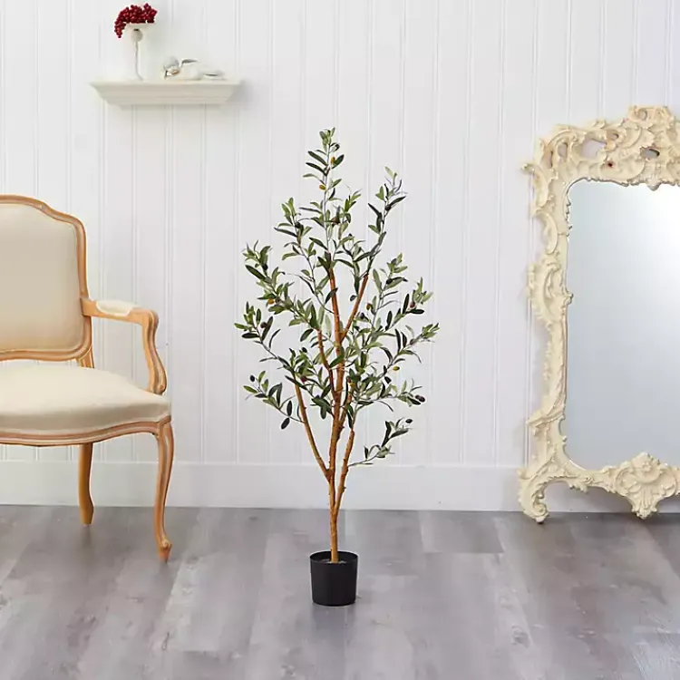 Outlet Slender Olive Branch Tree in Nursery Planter Trees & Topiaries