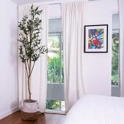 Hot Slim Olive Tree in Woven Planter, 7 ft. Trees & Topiaries