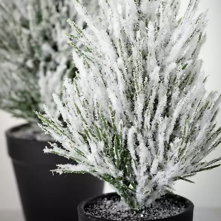 Best Snowy Potted Mini Pine Trees, Set of 2 Christmas Arrangements & Garland