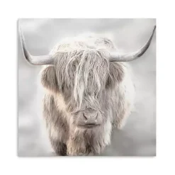 Kirklands Home Canvas Art|Solo Highland Cow Canvas Art Print, 40x40 Gray