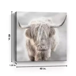 Kirklands Home Canvas Art|Solo Highland Cow Canvas Art Print, 40x40 Gray