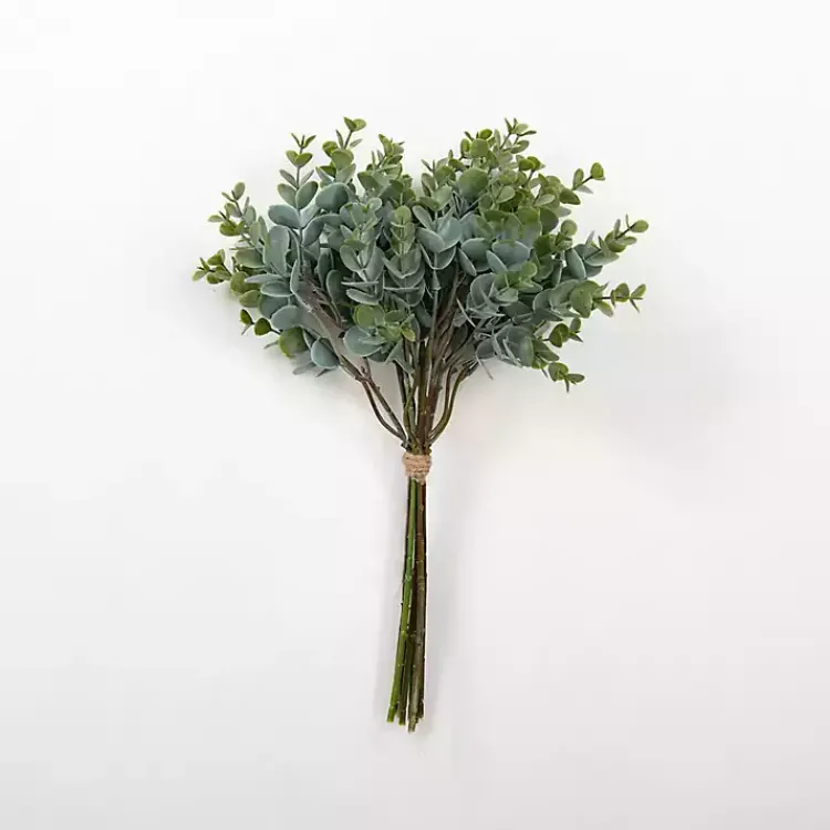 Best Spiral Eucalyptus Bundle Stems & Bouquets