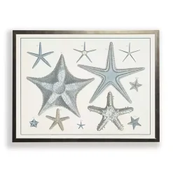 Kirklands Home Framed Art|Starfish Collage Bronze Framed Art Print