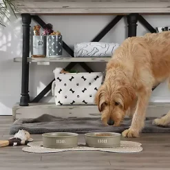 Kirklands Home Pet Dishes & Canisters|Stone Dinner & Drinks 2-pc. Pet Bowl Set, 8 in. Tan