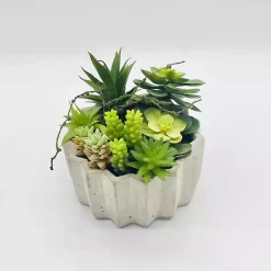 Online Succulent Arrangement in Zig-Zag Gray Planter Arrangements & Greenery