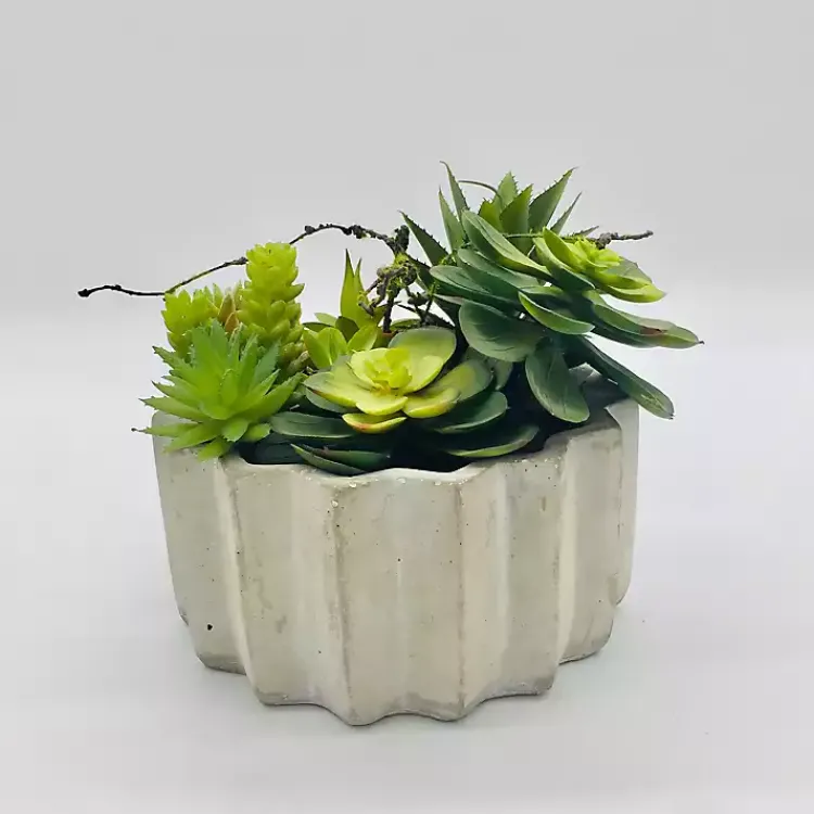 Online Succulent Arrangement in Zig-Zag Gray Planter Arrangements & Greenery