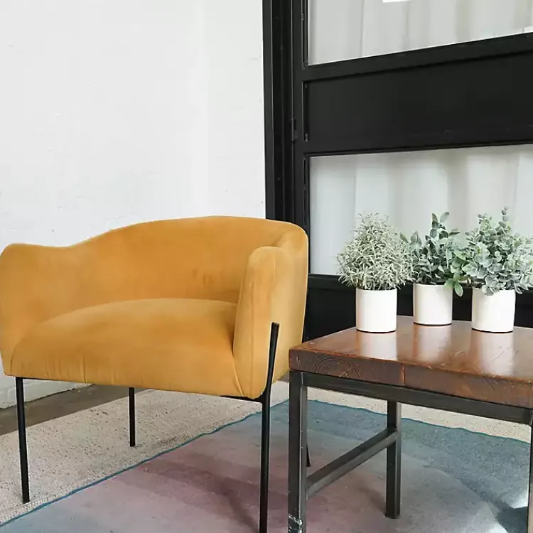 Best Succulent Arrangements in Ceramic Pots, Set of 3 Arrangements & Greenery