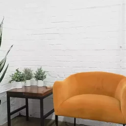 Best Succulent Arrangements in Ceramic Pots, Set of 3 Arrangements & Greenery