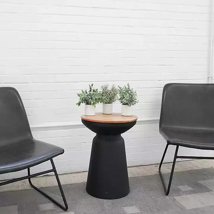 Best Succulent Arrangements in Ceramic Pots, Set of 3 Arrangements & Greenery