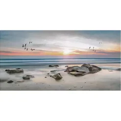 Kirklands Home Canvas Art|Sunset Flight Giclee Canvas Art Print