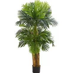 Sale Triple Areca Palm Tree, 5 ft. Trees & Topiaries