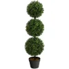 Best Triple-Ball Boxwood Topiary in Black Planter Trees & Topiaries