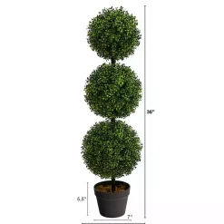 Best Triple-Ball Boxwood Topiary in Black Planter Trees & Topiaries